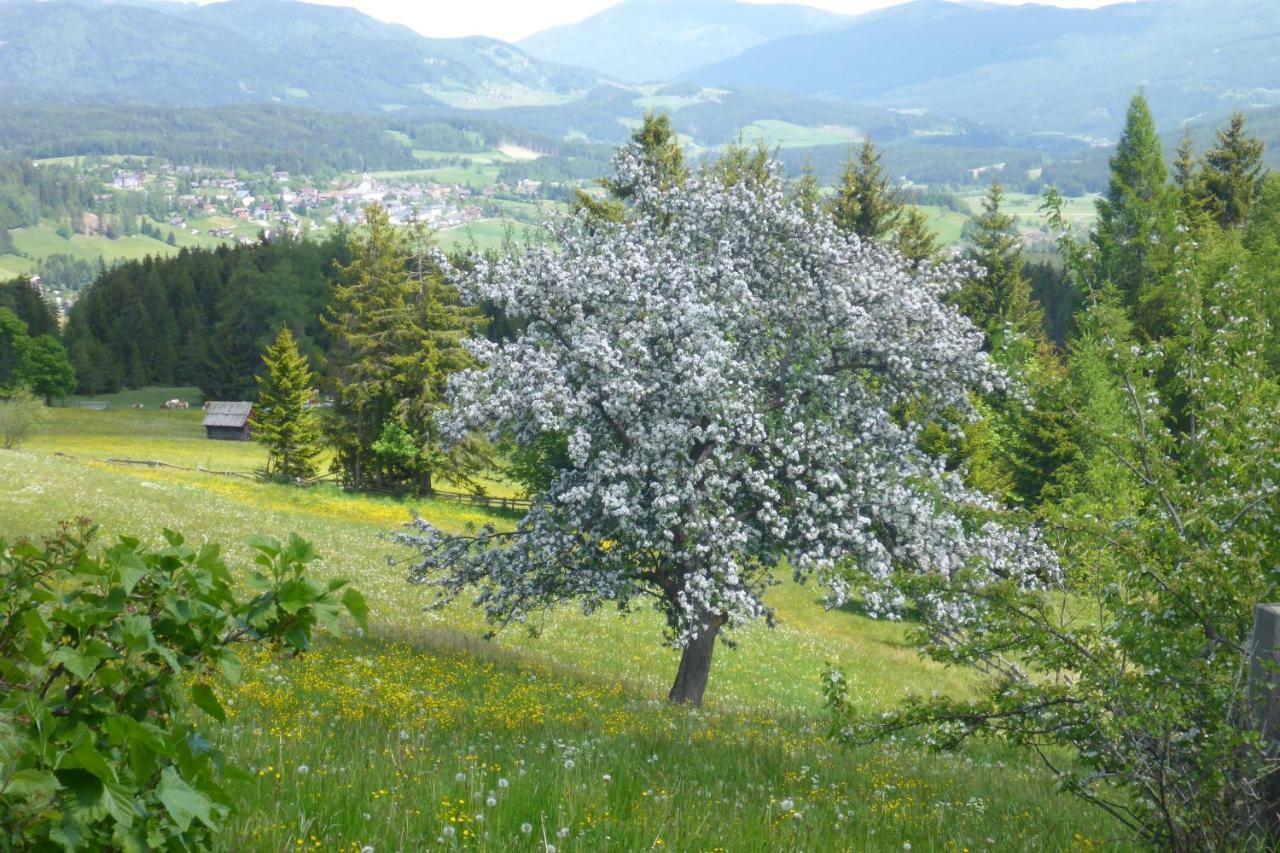 Fingerlos Mauterndorf  Extérieur photo